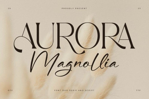 Aurora Magnollia First Impressions