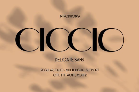 Ciccio Sans Serif Font for Handmade Creations