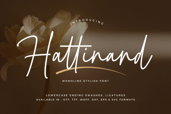 Hattinand Font for a Polished Brand Look