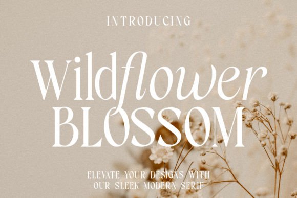 Wildflower Blossom Font Review for Editorial Design